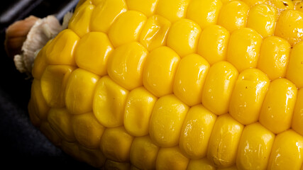 Delicious corn on the cob captured in an extreme close up. The brightly glowing yellow kernels form a recognizable pattern. The cob was buttered up, and fried in an iron cast skillet. 