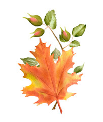 Fototapeta premium watercolor fall illustration. Hand painted autumn leaves. Wreaath, card, DIY elements