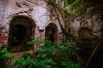 Fototapeta na wymiar Overgrown ruins of abandoned mansion. Former baron von Derviz manor, Ryazan region