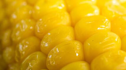 Delicious corn on the cob captured in an extreme close up. The brightly glowing yellow kernels form...