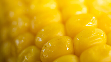 Delicious corn on the cob captured in an extreme close up. The brightly glowing yellow kernels form a recognizable pattern. The cob was buttered up, and fried in an iron cast skillet. 