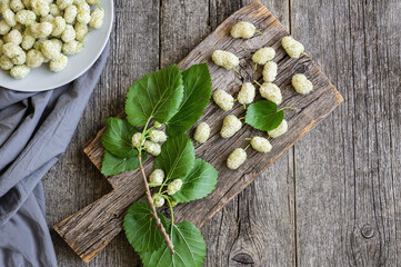 Fresh white mulberries in plate with branch on wooden background, summer fruit concept  - obrazy, fototapety, plakaty