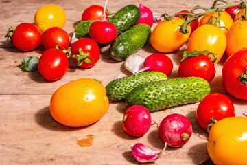 Assortment of ripe organic farmer red and yellow tomatoes, cucumbers, radish, garlic, and fresh basil leaves