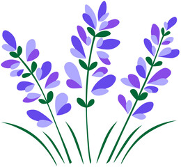 Colored stylized lavender. Abstract lavender flowers bouquet