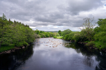 View of the Tees river in County Durham, England, in spring