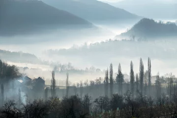 Acrylic prints Forest in fog village 1