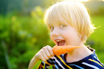 Happy little boy helps family to harvest of organic homegrown vegetables at backyard of farm. Child...