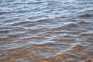 clear summer water on the river