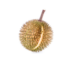 Durian on white background.Durian is the king of fruit, durian fruit is large.