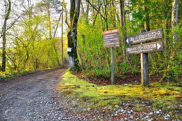 三国山・パノラマ台ハイキングコース　山中湖村の入口