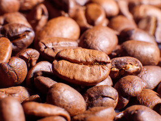 The coffee bean is very close, shot in close-up, against the background of beans
