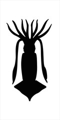 Squid, calamari.  Silhouette vector illustration.