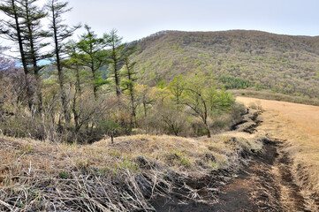 丹沢　鉄砲木ノ頭（明神山）より甲相国境尾根の道と新緑の三国山