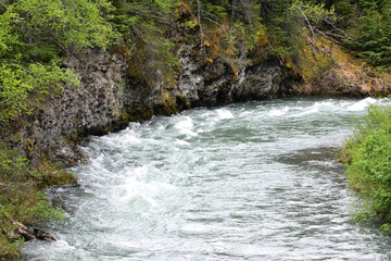 Fototapeta na wymiar Whitewater rapids in a bend of Alaska's Canyon Creek on the Kenai Peninsula.