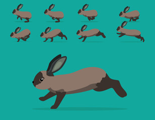 Animal Animation Sequence Rabbit American Sable Cartoon Vector