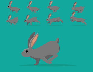 Animal Animation Sequence Rabbit Continental Giant Cartoon Vector
