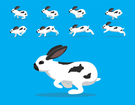 Animal Animation Sequence Rabbit Checkered Giant Cartoon Vector