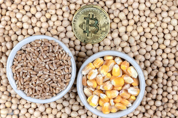 soybean, wheat and corn seeds with golden bitcoin, concept of agricultural commodities in Brazil