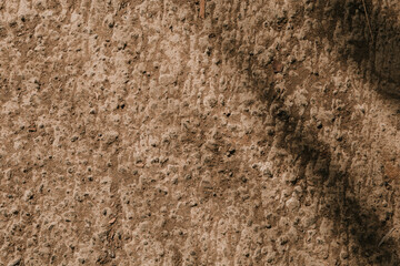 texture of stone