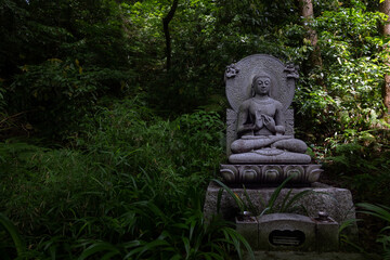 Fototapeta na wymiar Buddha in the Forest