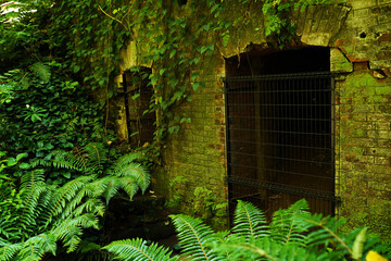 横須賀の無人島「猿島」