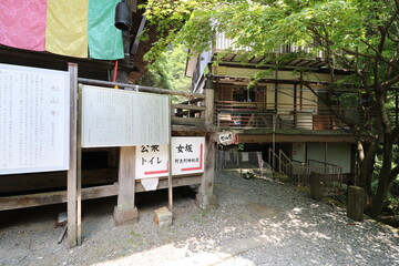 神奈川県の丹沢の大山の登山