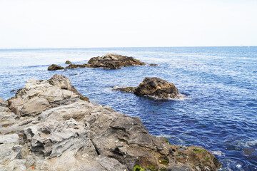 Fototapeta na wymiar 横須賀の無人島「猿島」