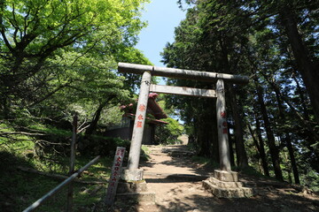 神奈川県の丹沢の大山の登山