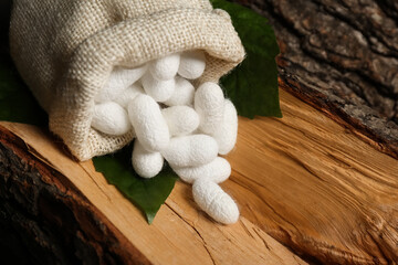 White silk cocoons with sackcloth bag and mulberry leaves on tree bark, closeup