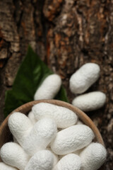White silk cocoons with wooden bowl and mulberry leaf on tree bark, top view