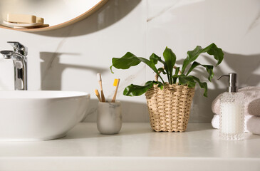 Beautiful green fern, towels and toiletries on countertop in bathroom
