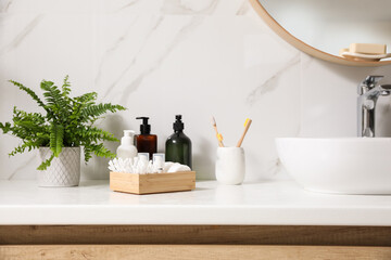 Beautiful green fern and toiletries on countertop in bathroom
