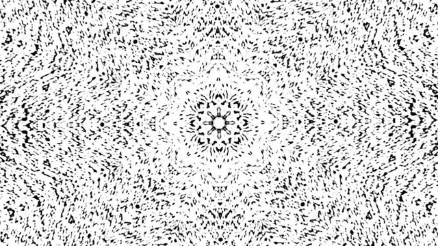 Abstract black white animated kaleidoscope pattern with a stop motion effect. Animation. Monochrome kaleidoscopic mandala on white background.