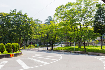 東北大学川内キャンパス
