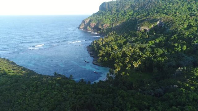 Eagles flying over pristine forest near Madama Beach, Samana in Dominican Republic. Aerial forward