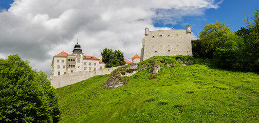 Fototapeta na wymiar Szlak Orlich Gniazd - zamek Pieskowa Skała na terenie Ojcowskiego Parku Narodowego w Polsce 