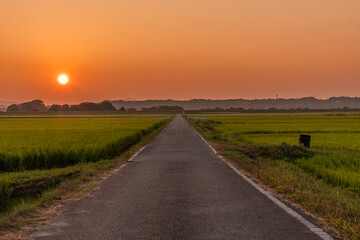 Fototapeta na wymiar 夏の夕暮れ、田舎の一本道を散歩しよう