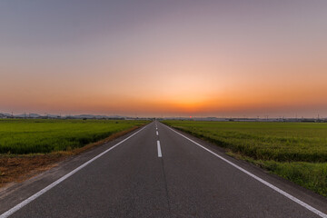 夏の夕暮れ、田舎の一本道を散歩しよう