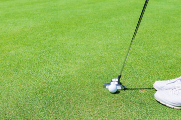 putter and golf ball on the green