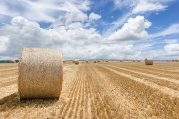 Straw bales stacked in a field at summer time, Reims