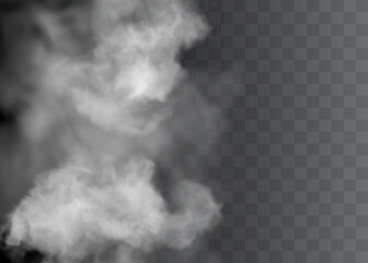 Fog or smoke isolated transparent special effect. White vector cloudiness, mist or smog background.
