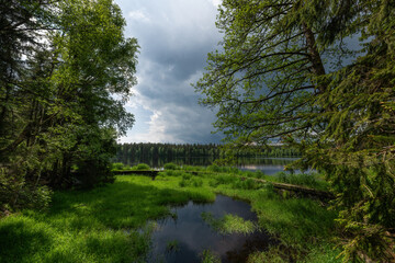 Nature trail - nature reserve Kladska peat bogs - Kladská peat bogs are a unique set of mountain...