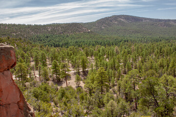 View of the Santa Fe National Forest in New Mexico outside of Los Alamos