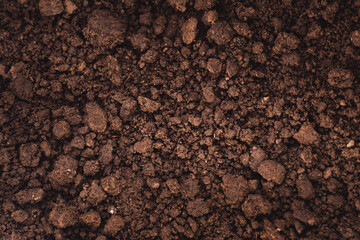 Close-up of fertile loam for the background