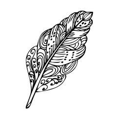 Feather pattern illustration on a white background for decorating postcards and logos