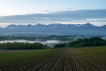 春の上富良野町の朝の風景と十勝岳連峰
