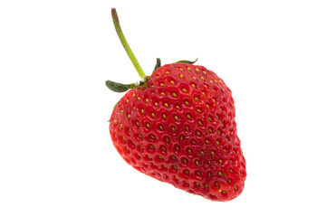 strawberry isolated