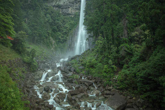 和歌山県 那智の滝 新緑