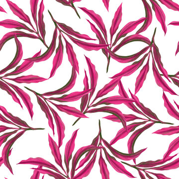 Pink tropical leaf Cordyline or Dracaena plant illustration drawing seamless pattern