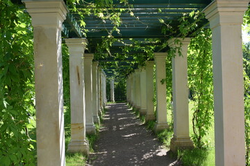 gazebo in the park